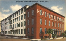 The Home of the Famous Hav-A-Tampa Cigar Florida Postcard Postcard Postcard