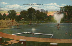 View of Swimming Pool Centralia, IL Postcard Postcard Postcard