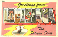 Greetings From Louisiana Postcard