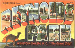 Greetings From Reynolds Park Winston-Salem, NC Postcard Postcard