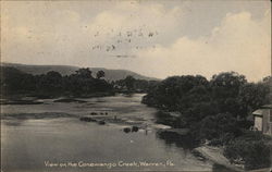 View on the Conewango Creek Warren, PA Postcard Postcard Postcard