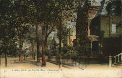 View on Euclid Ave. Postcard