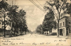 Washington Avenue Postcard