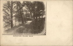 Georgetown College Walks (Georgetown University) Washington, DC Postcard Postcard Postcard