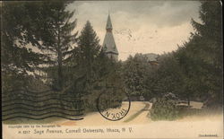 Cornell University - Sage Avenue Ithaca, NY Postcard Postcard Postcard