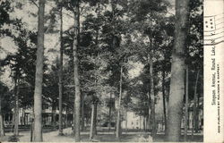 Simpson Avenue Postcard