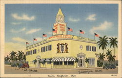 Mayflower Restaurant Postcard