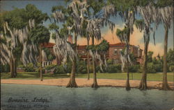 View of Bonaire Lodge Lake Wales, FL Postcard Postcard Postcard