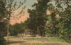 The Robin's Nest, Camp Pinnacle, Helderberg Mountains Voorheesville, NY Postcard Postcard Postcard