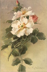 Bunch of Roses Flowers Postcard Postcard Postcard