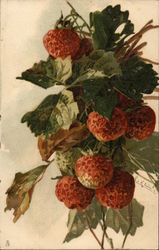 Strawberries and Leaves Fruit C. Klein Postcard Postcard Postcard