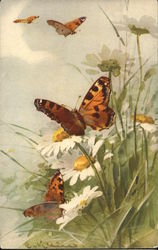 Butterflies and Daisies Postcard