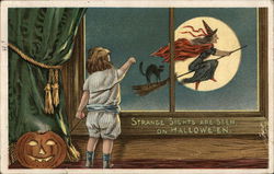 Strange Sights are seen on Halloween Postcard