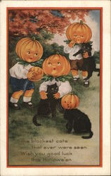 Black Cats and Pumpkins Halloween Postcard Postcard Postcard