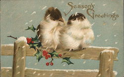 Season's Greetings Christmas Postcard Postcard Postcard