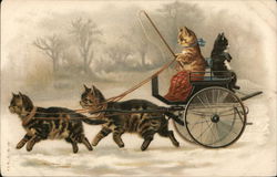 Cats and Wagon Postcard Postcard Postcard