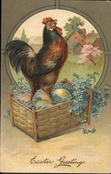 Rooster Standing in Basket of Colored Eggs Postcard Postcard Postcard