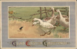 Glad Easter Greetings - Ducks and Chick Postcard