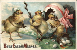 Best Easter Wishes With Chicks Postcard Postcard Postcard