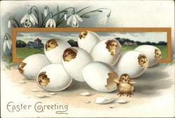 Easter Greeting With Chicks Postcard Postcard Postcard