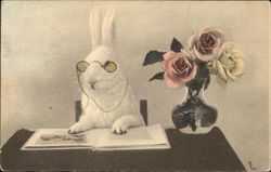 Reading Bunny Rabbit Postcard Postcard Postcard