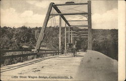 Little Sioux Wagon Bridge Postcard