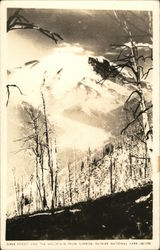 Silver Forest And the Mountain From Sunrise Postcard