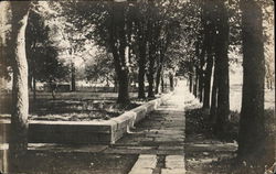 Park with Trees Fredonia, KS Postcard Postcard Postcard