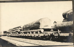 Train Hauling Old Growth Timber Logging Postcard Postcard Postcard