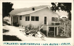 Walker's Whitehouse Los Altos, CA Postcard Postcard Postcard