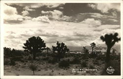 Desert Clouds Postcard