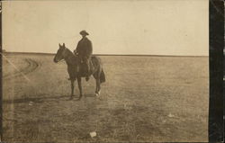 Man on Horse St. Paul, MN Postcard Postcard Postcard