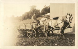 Horses Pulling Wagon Horse-Drawn Postcard Postcard Postcard