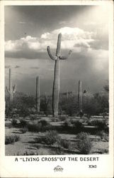 A "Living Cross" Of The Desert Cactus & Desert Plants Postcard Postcard Postcard