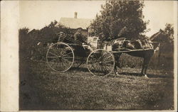 Riding in Horse Drawn Carriage Postcard