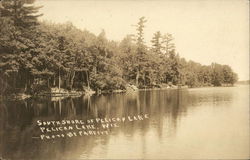 Southshore of Pelican Lake Postcard