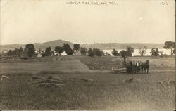 Harvest Time Postcard