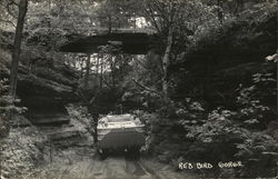 Red Bird Gorge Postcard