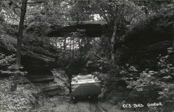 Red Bird Gorge Duck Boat Postcard