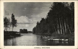 View of River Postcard