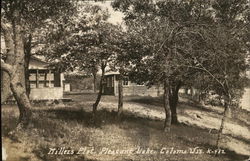 Millers Plot, Pleasant Lake Coloma, WI Postcard Postcard Postcard