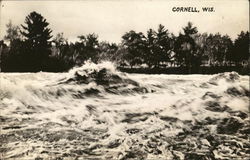 Rapids in River Cornell, WI Postcard Postcard Postcard