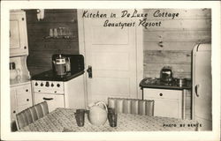 Kitchen in Deluxe Cottage-Beautyrest Resort Cable, WI Postcard Postcard Postcard