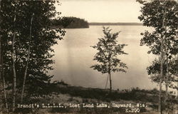 Brandt's L.L.L.L., Lost Land Lake Hayward, WI Postcard Postcard Postcard