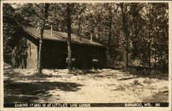 Cabins 17 and 18 at Little's Log Lodge Postcard