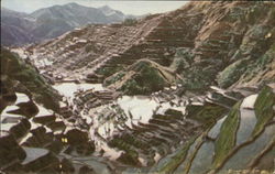 Ifugao Rice Terraces Philippines Southeast Asia Postcard Postcard Postcard