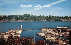 Yacht harbor Postcard