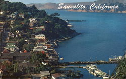 Sausalito California Postcard