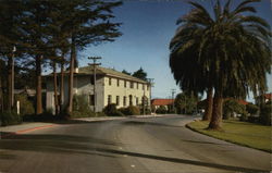 Presidio Y.M.C.A Postcard