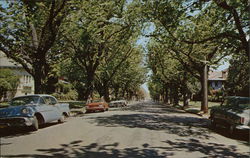 One of Alameda's Residential Areas California Postcard Postcard Postcard